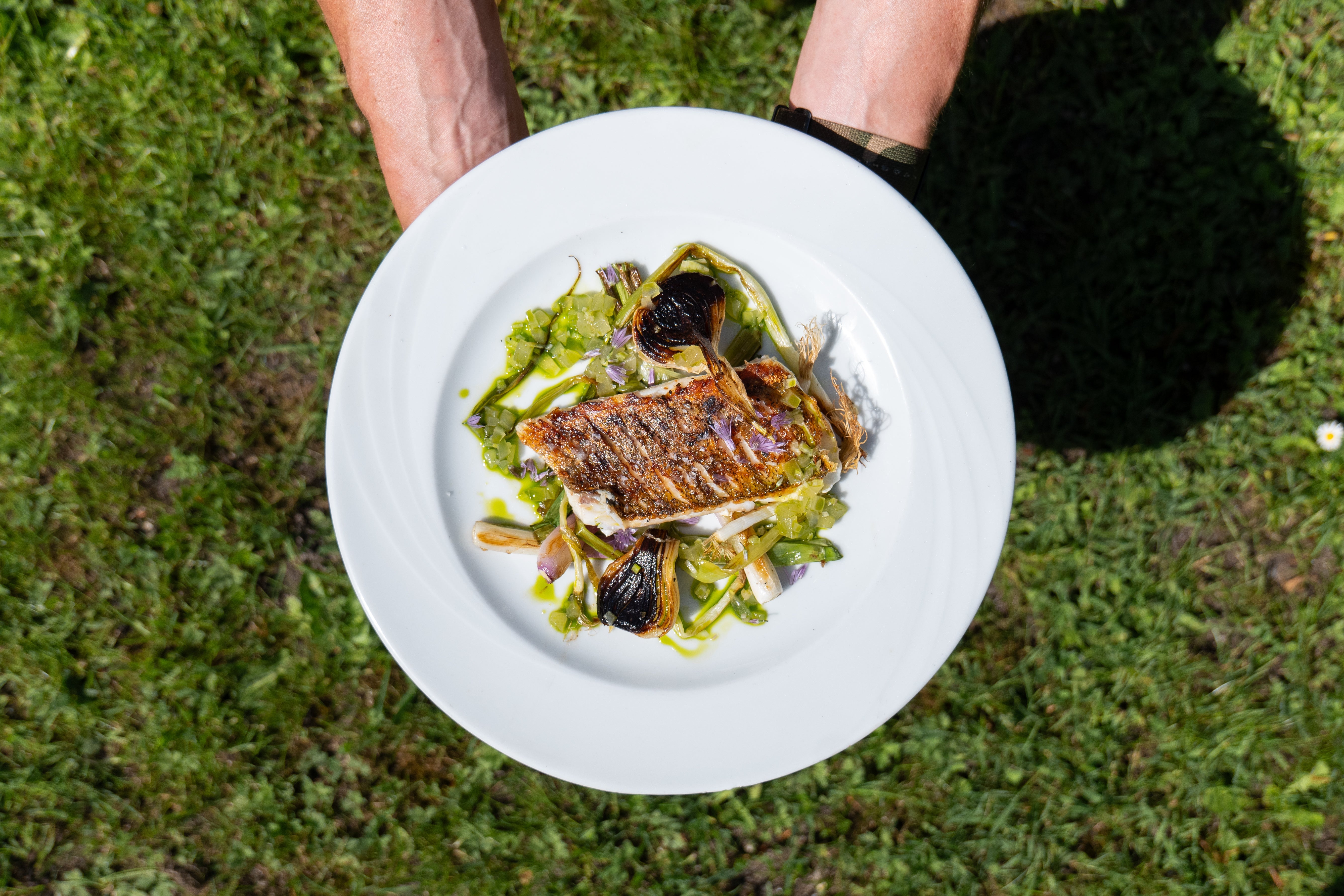 Fried Zander with New Onions and Onion Oil